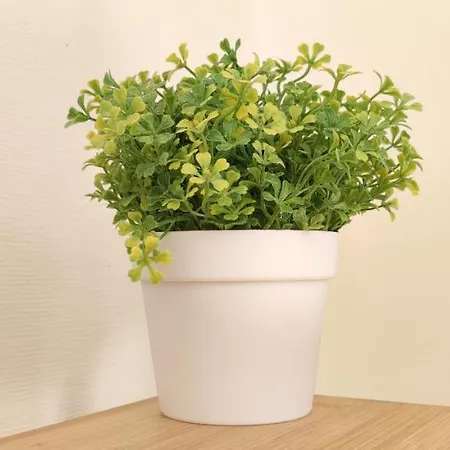 L'Aneto - Chambre dans charmant appartement Séjour chez l'habitant