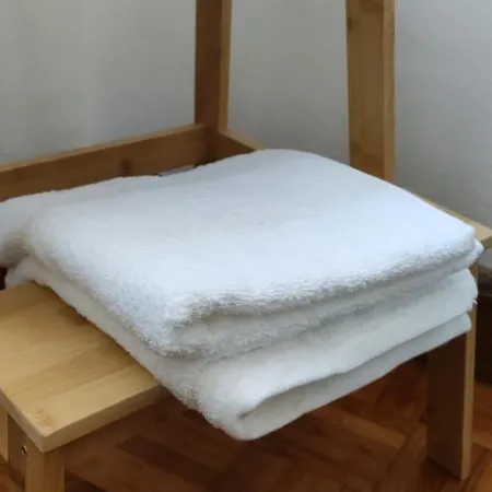 L'Aneto - Chambre dans charmant appartement Séjour chez l'habitant